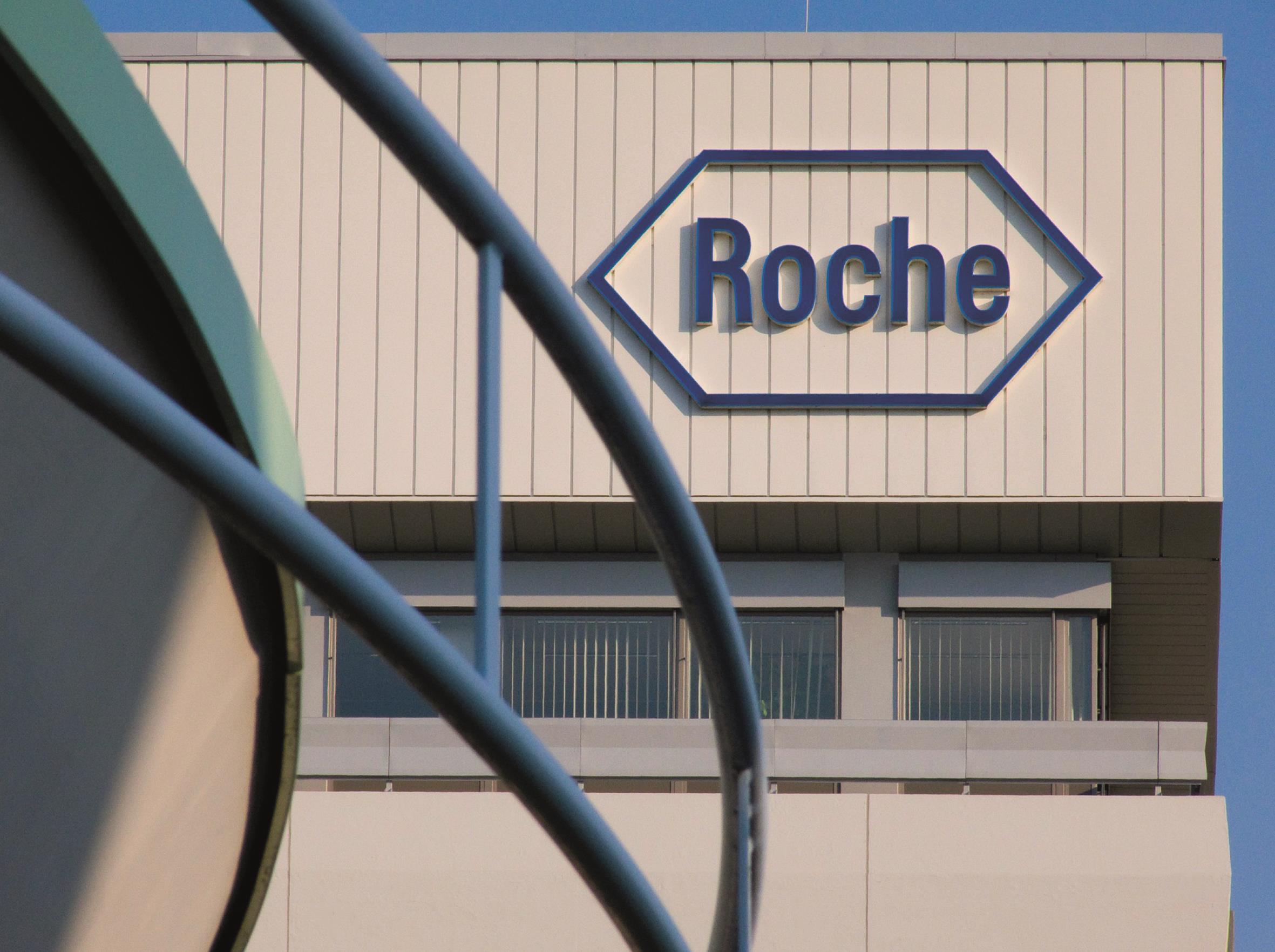 Roche holding