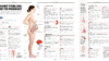 Pregnancy problems: a guide for pharmacists