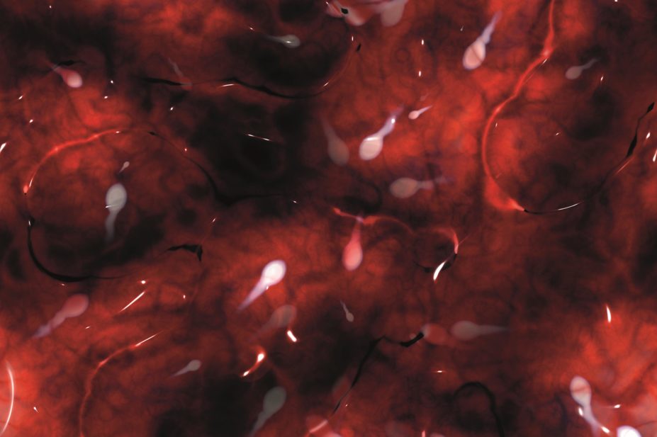 Close up of sperm cells against a red background