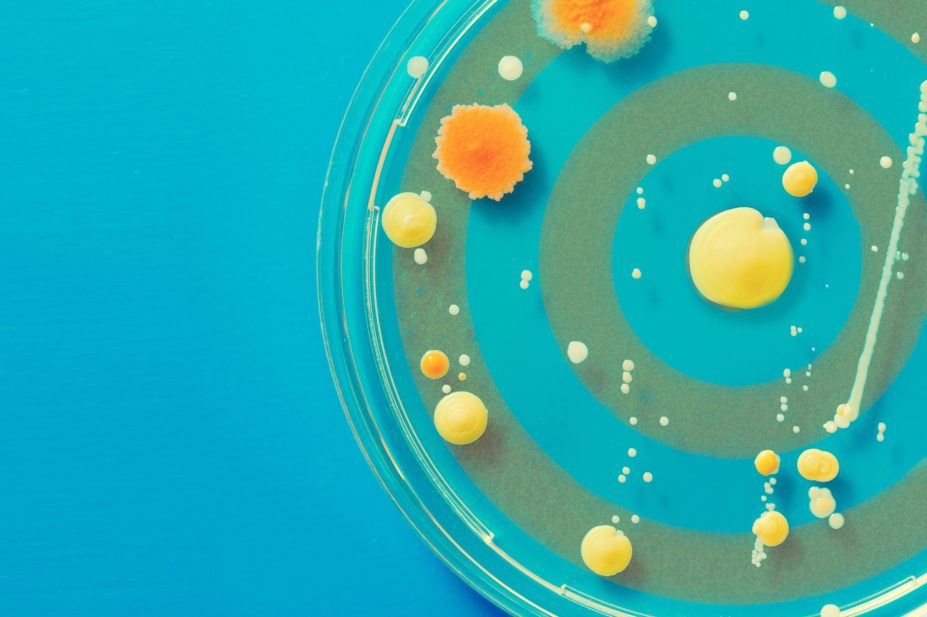 Target in a petri dish