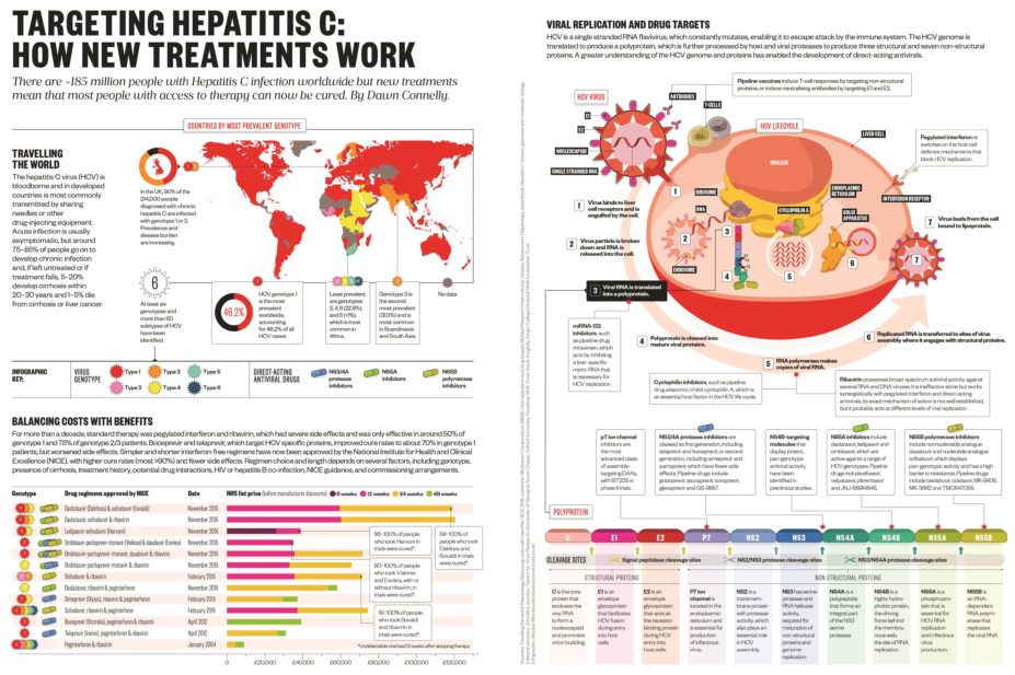 Targeting Hepatitis C: How new treatments work