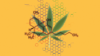 Tetrahydrocannabinol structure and cannabis plant illustration