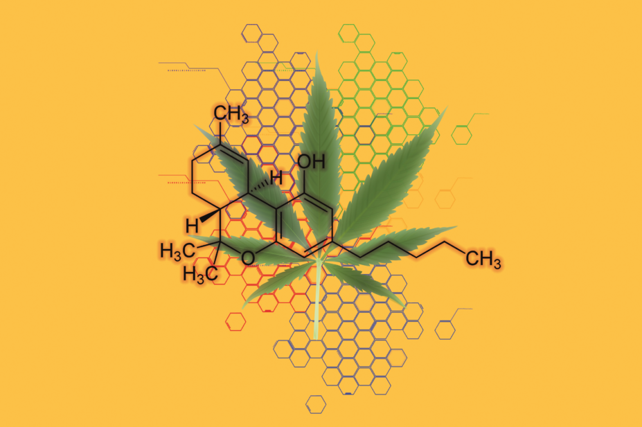 Tetrahydrocannabinol structure and cannabis plant illustration