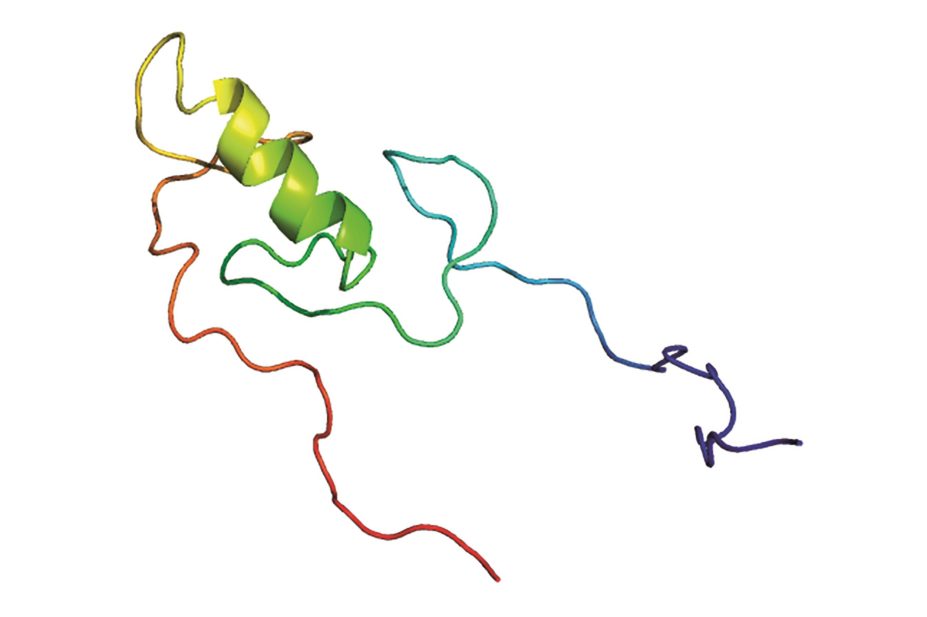 Researchers have now shed light on how the TRIM5α protein (illustration pictured) targets the HIV-1 retrovirus and triggers its degradation and activates the innate immune system pathways