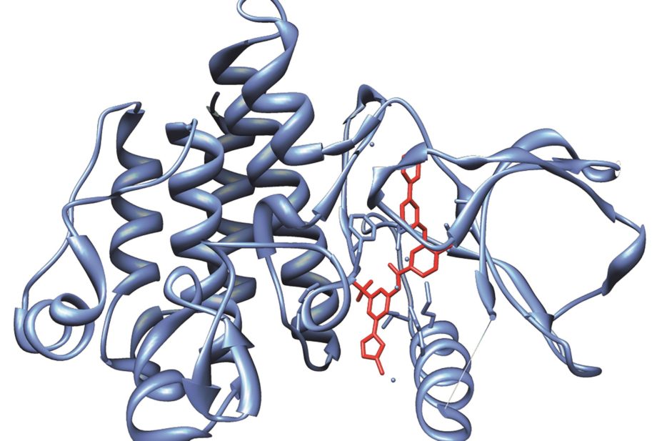 Researchers found that the tyrosine kinase inhibitor nilotinib (crystal structure pictured), licensed for treatment in chronic myeloid leukaemia, increased brain dopamine and improved motor and cognitive function in patients with Parkinson's disease