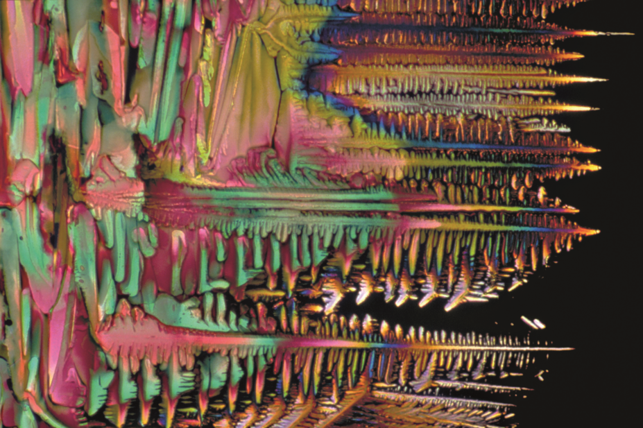 Light micrograph of vitamin D crystals
