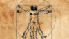 Stylised version of Leonardo Da Vinci's Vitruvian man