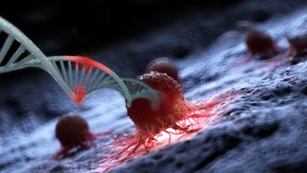 Going against type  the new class of cancer therapies targeting mutations rather than tissues