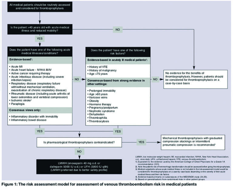 Thromboembolism prevention on a medical assessment unit — audits before ...