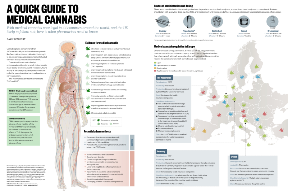 A quick guide to medical cannabis infographic