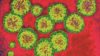 Hepatitis C is a blood-borne single-stranded RNA flavivirus with six major genotypes, affecting an estimated 185 million people worldwide.