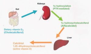 Remedying calcium and phosphate problems in chronic kidney disease ...