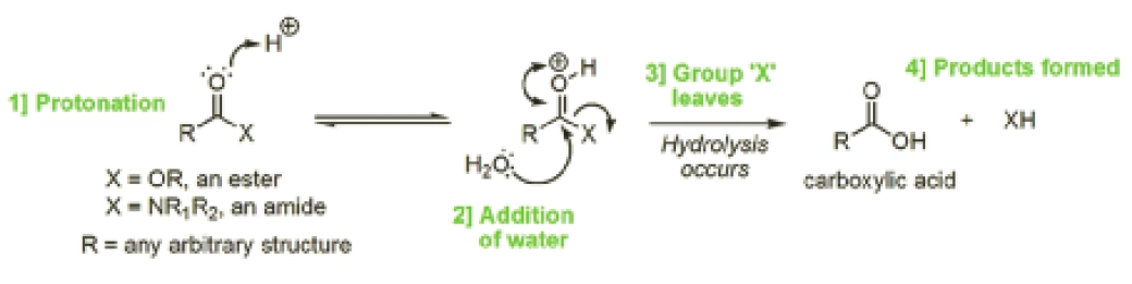 understanding-the-chemical-basis-of-drug-stability-and-degradation