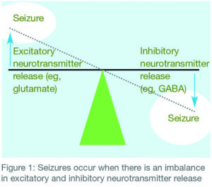 Epilepsy: Review What You Know (part 1) - The Pharmaceutical Journal