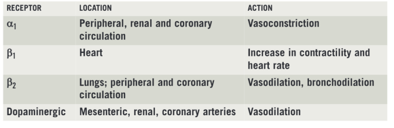 Use of inotropes in critical care - The Pharmaceutical Journal