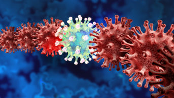 Illustration of coronaviruses
