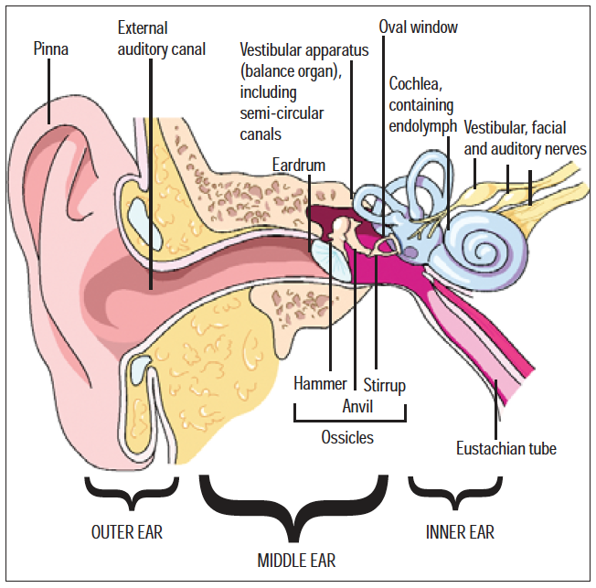 inner ear itch at night