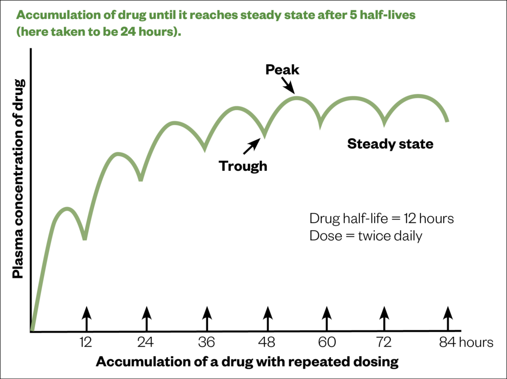 Figure 3: Accumulation of drug until it reaches steady state after 5 half-lives