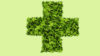 pharmacy cross made out of green leaves