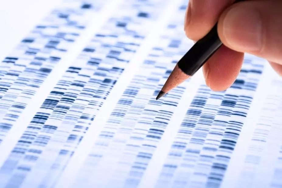 dna analysis