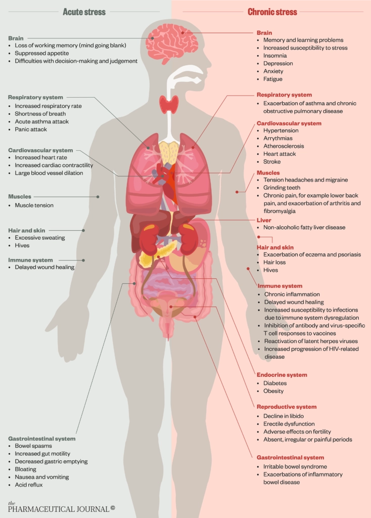 In figures: the science of stress - The Pharmaceutical Journal