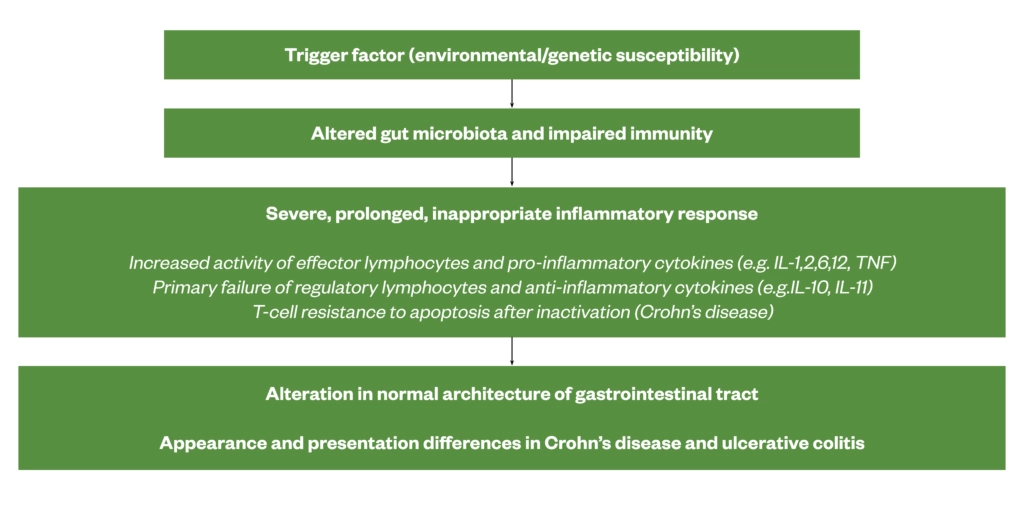 Inflammatory Bowel Disease: Symptoms And Diagnosis - The Pharmaceutical ...