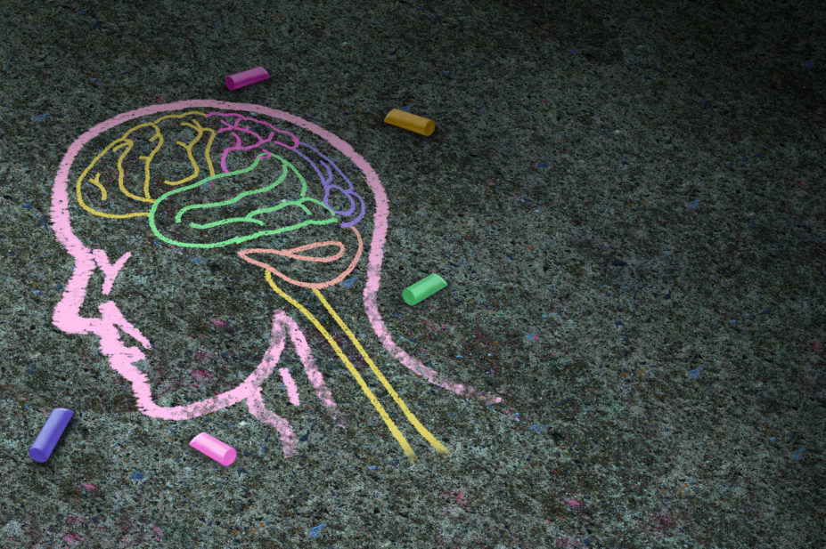 chalk drawing of brain inside skull on concrete