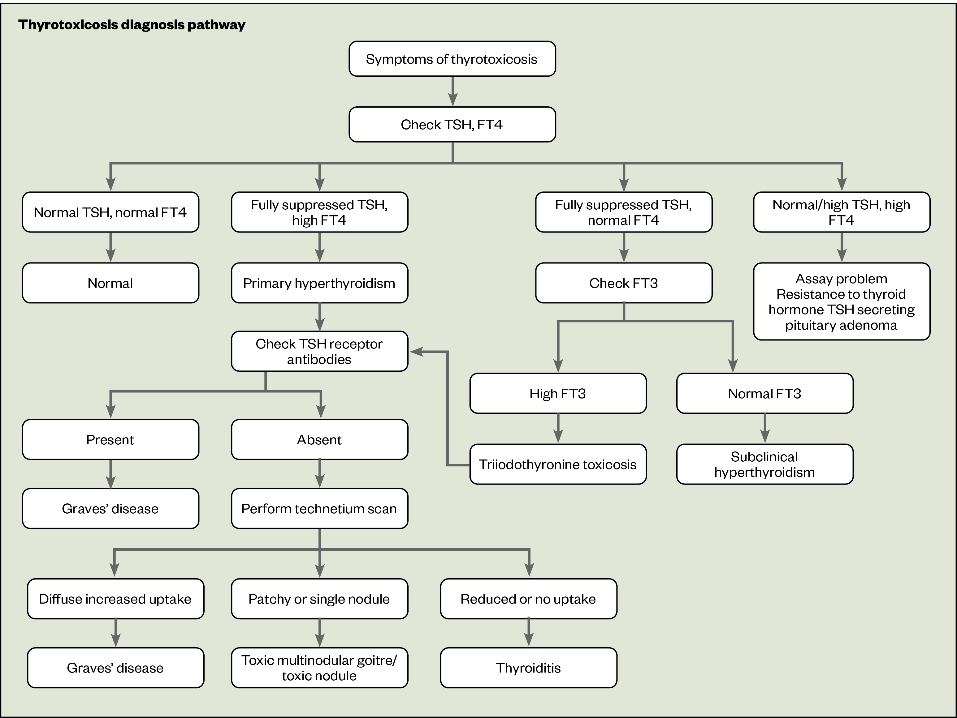 Figure 1: Thyrotoxicosis diagnosis pathway