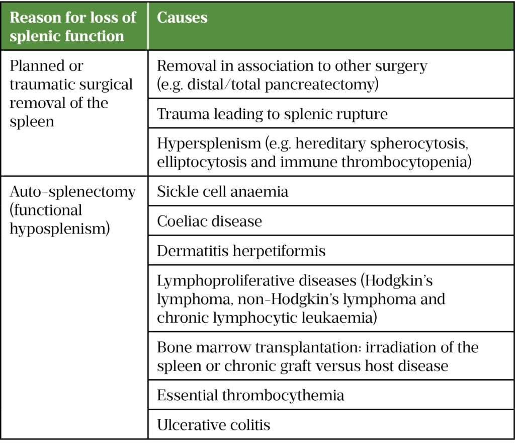 Asplenia and hyposplenism in adults: recognition, diagnosis and ...