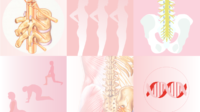 Montage of illustrations of the back pain infographic