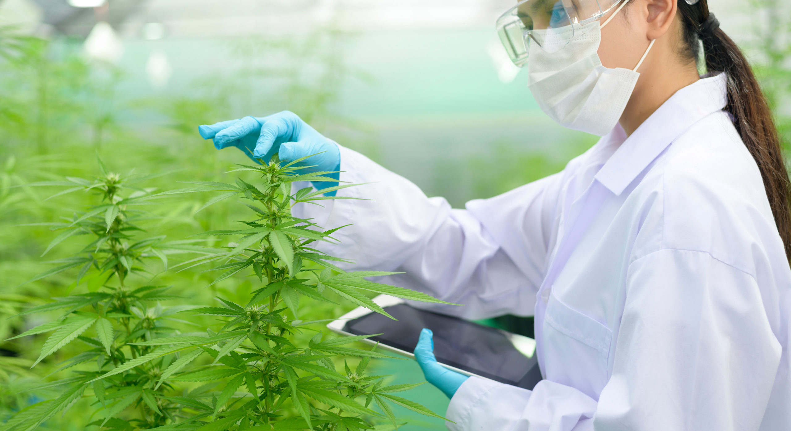 Unlocking the Potential: Medical Cannabis for Neurological Disorders