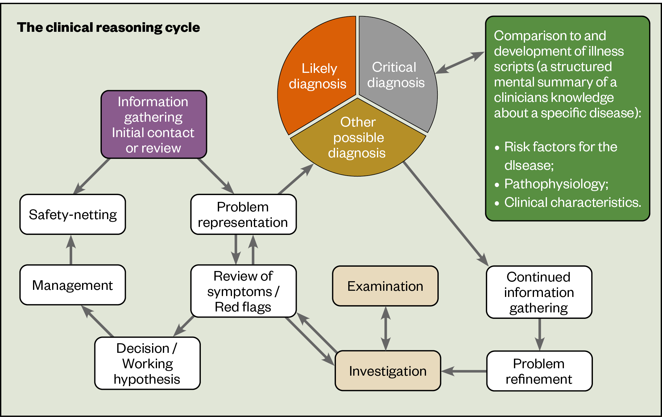 Figure: The clinical reasoning cycle
