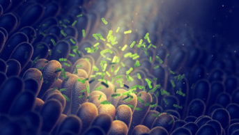 illustration of intestinal bacteria