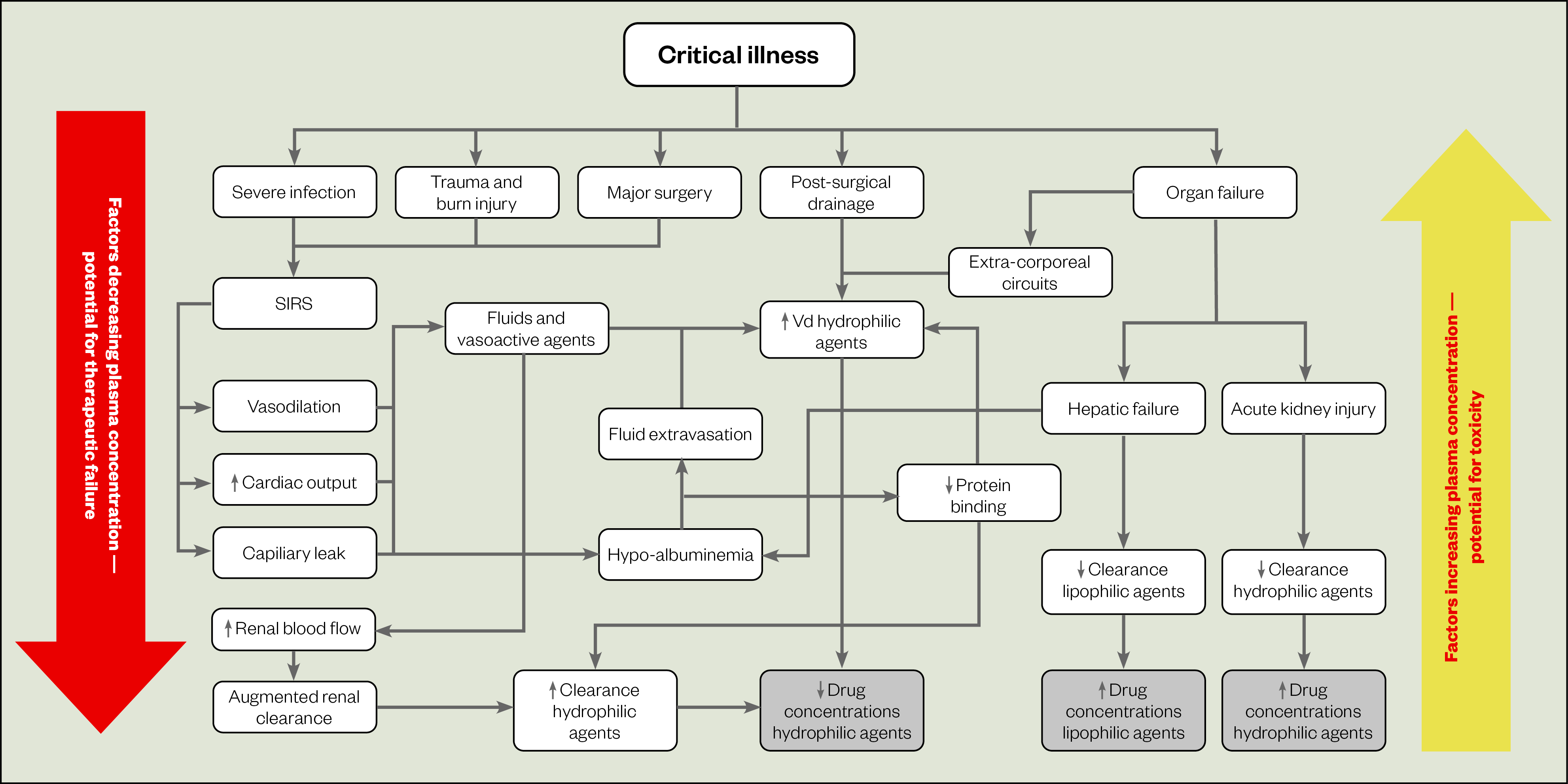 Figure 1: Critical illness-induced pharmacokinetic changes.
SIRS: Systemic inflammatory response syndrome
Source: Adapted from Blot et al.