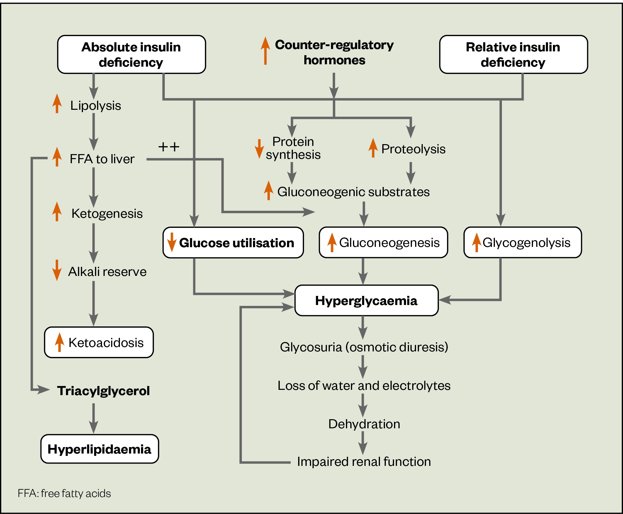 dka case study type 1