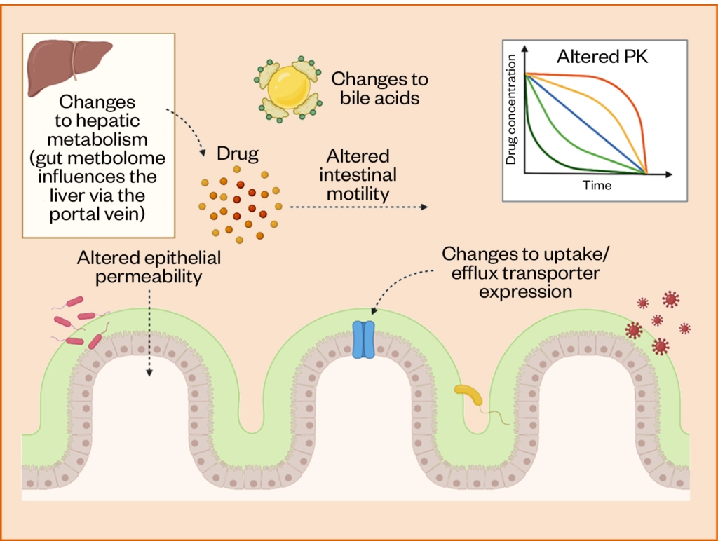 Addressing Drug–microbiome Interactions: The Role Of Healthcare ...