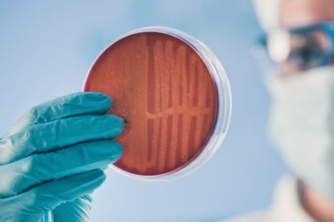 MRSA: diagnosis, screening and management - The Pharmaceutical Journal