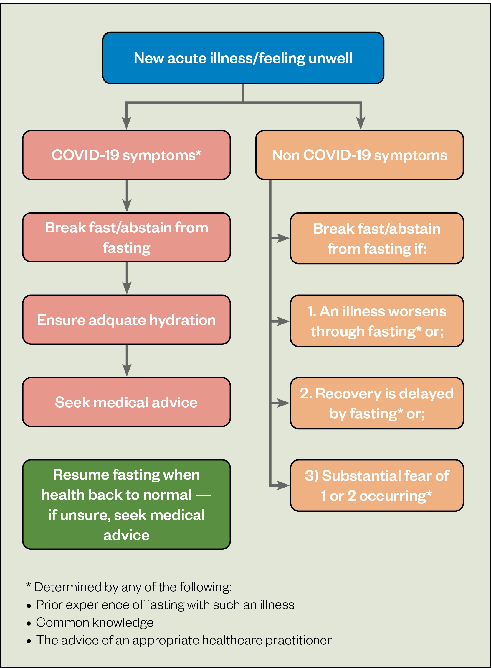 Figure 2: British Islamic Medical Association's recommendations on dealing with acute illness during Ramadan