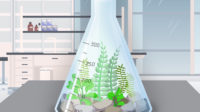 Illustration of live plants in a lab glass measuring container