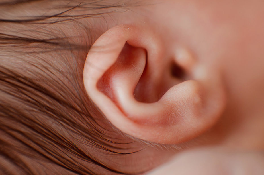 Close up of newborn's ear