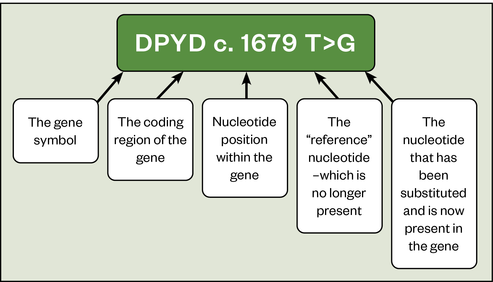 Figure 1: Decoding the nomenclature of pharmacogenomics