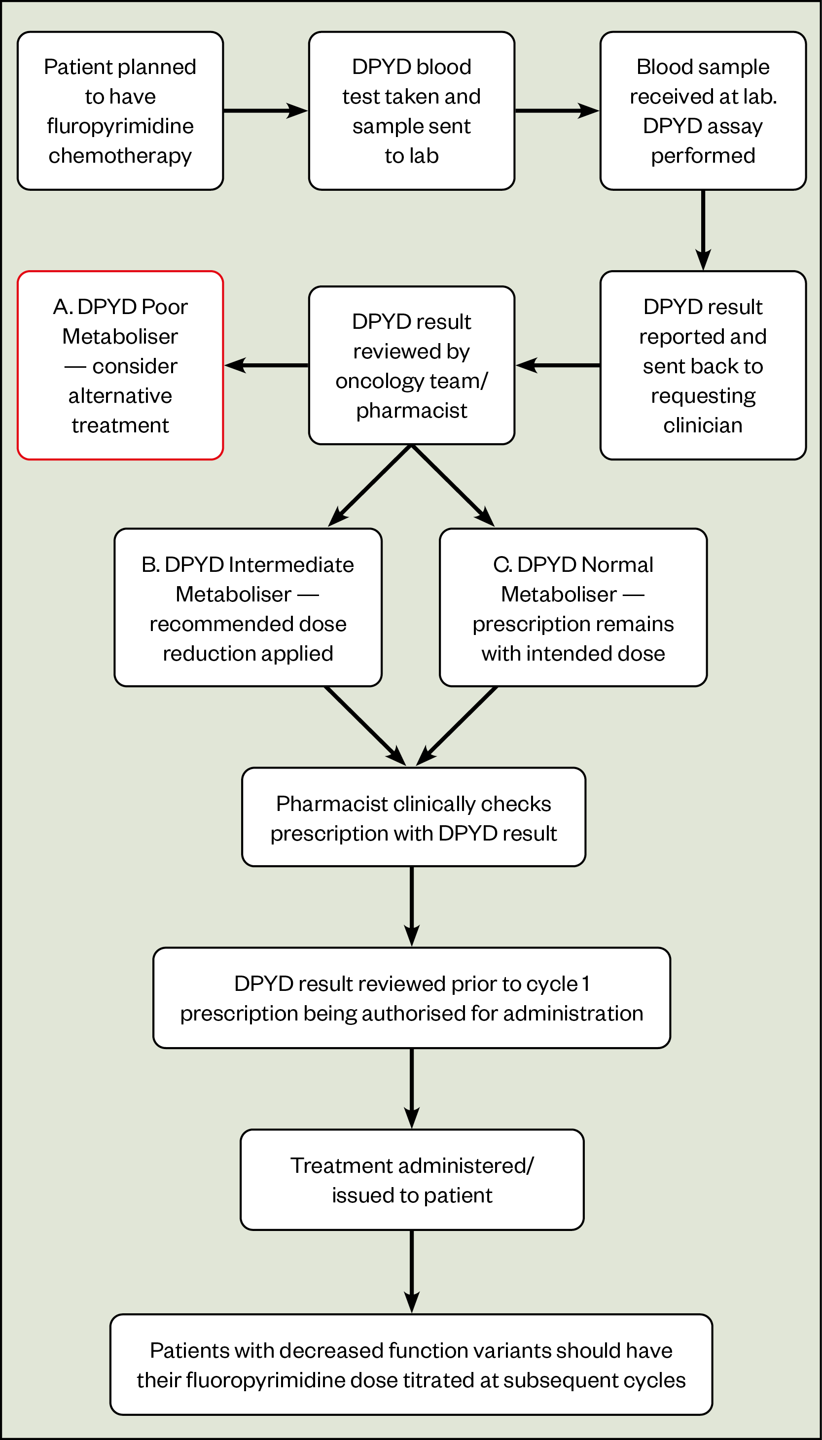 Figure 2: Example patient pathway for DPYD testing
