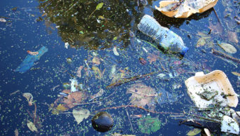 UK river showing pollution