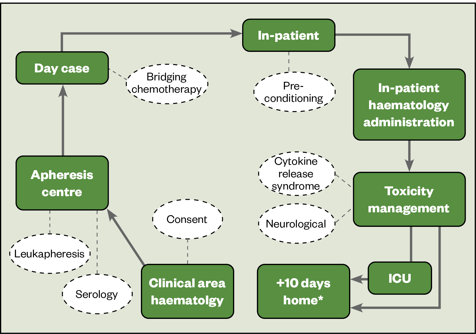 Figure 2: The patient journey for chimeric antigen receptor T-cell therapy