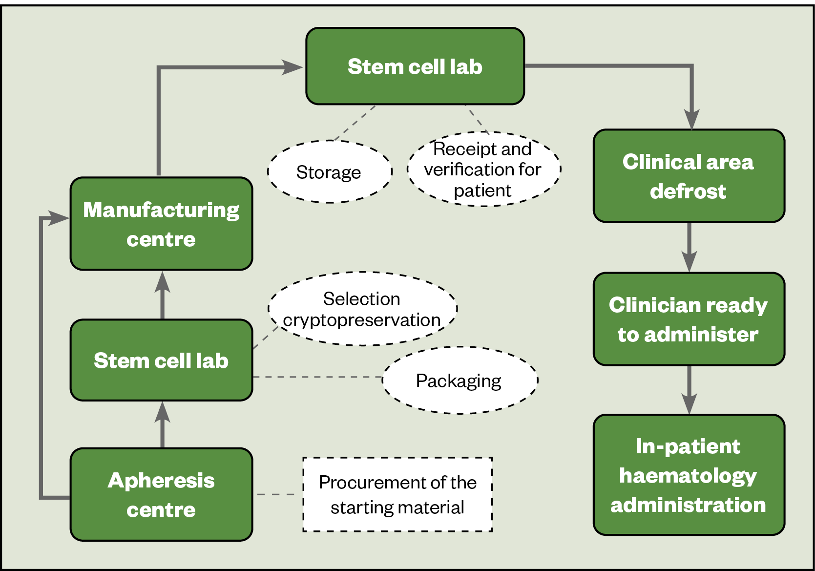 Figure 3: The product journey for chimeric antigen receptor T-cell therapy