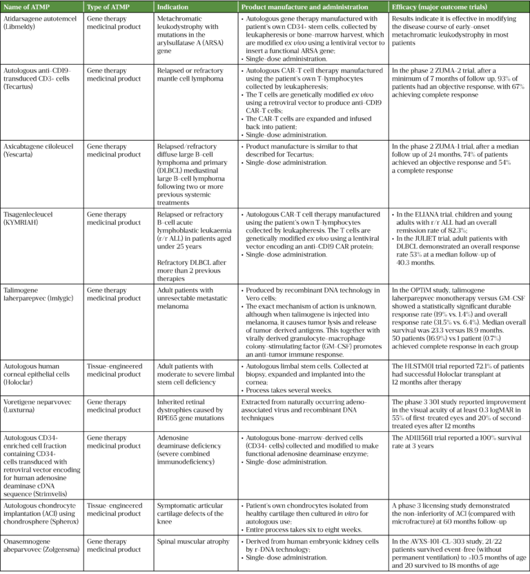 Advanced therapy medicinal products: a comprehensive overview for ...