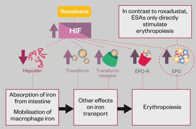 Developments In The Management Of Anaemia And Other Complications In ...