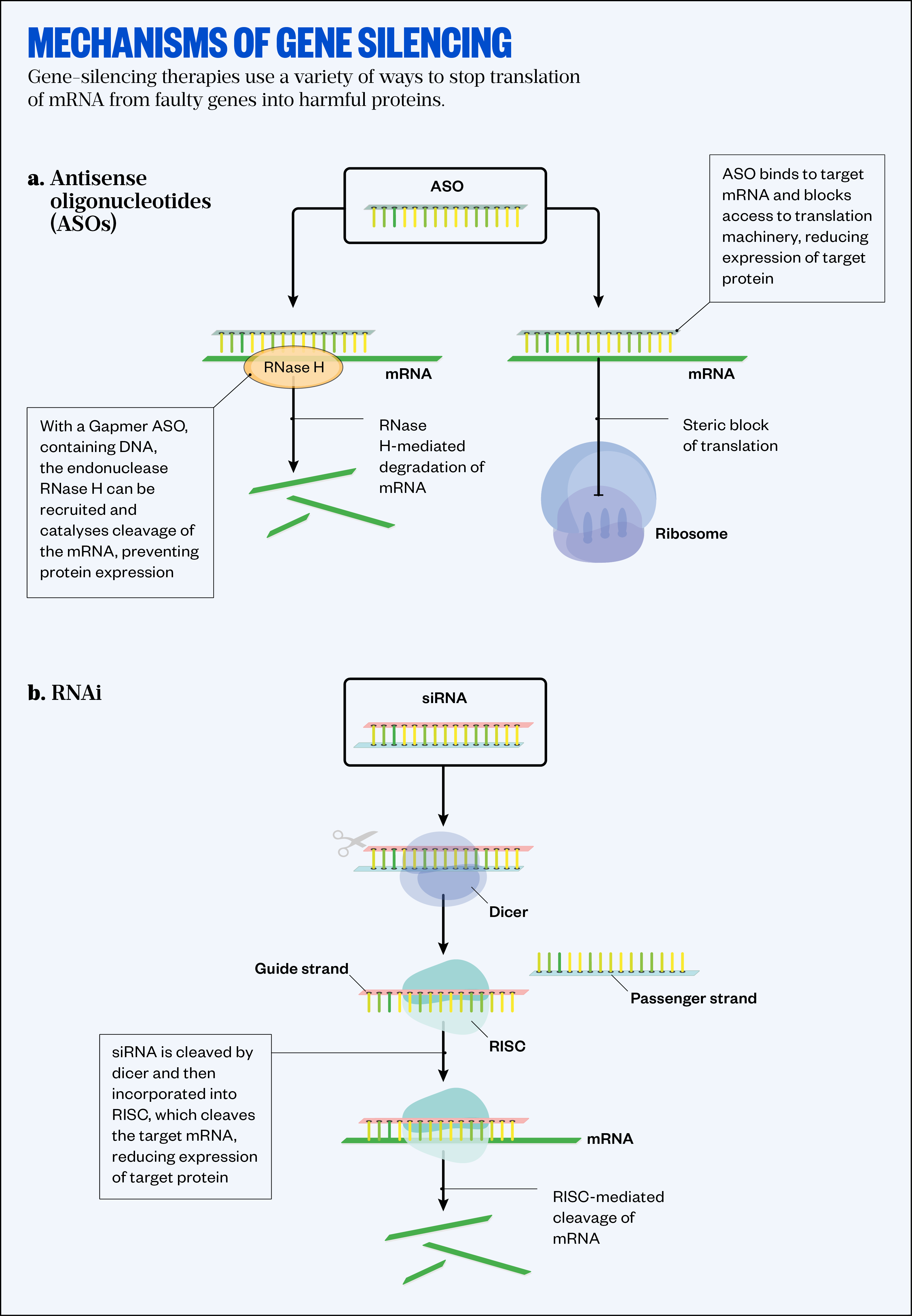 Figure: Mechanisms of gene silencing