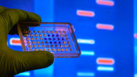 DNA testing in a scientific laboratory