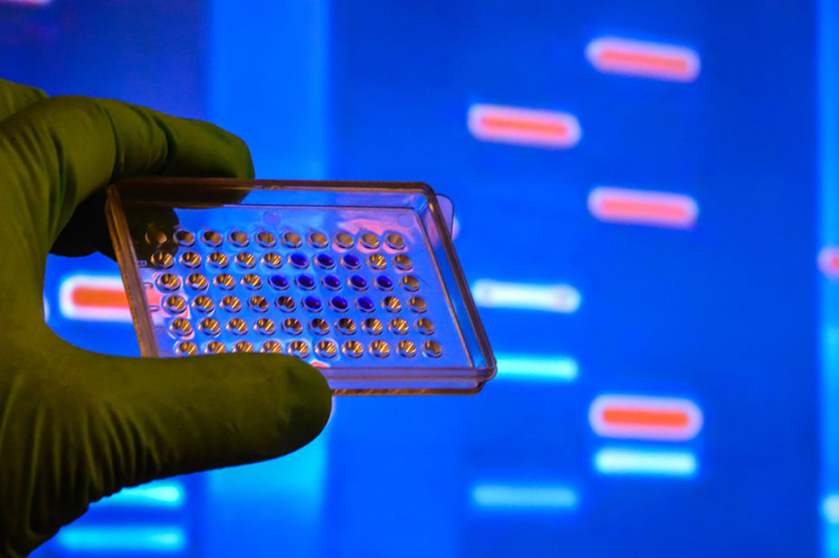 DNA testing in a scientific laboratory
